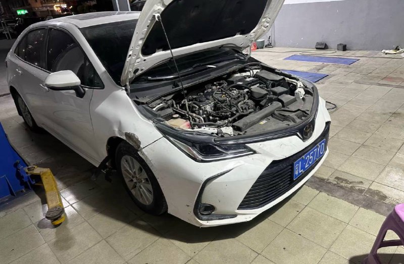 Huizhou-Plated Toyota Damaged by Dog