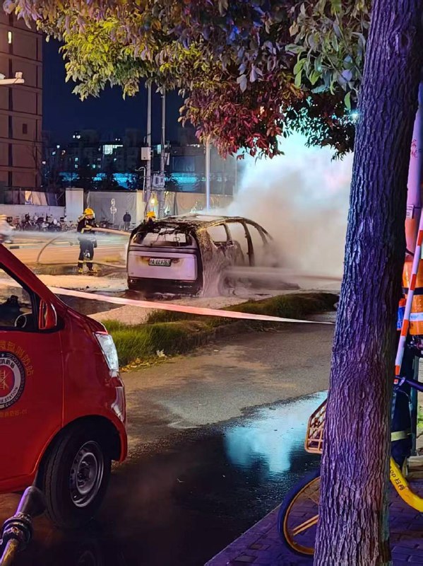 Electric Vehicle Catches Fire While Moving