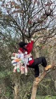 Daleishan Bottle-Collecting Video Alleged to Be Staged