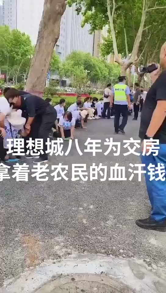 Handan Project Owners Seek Redress Outside Government