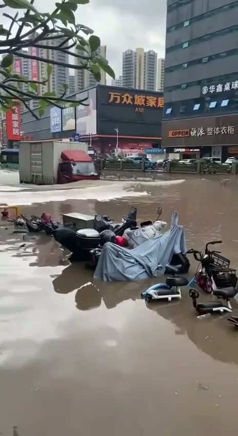 Post says “Welcome to Shenzhen to see the sea”
