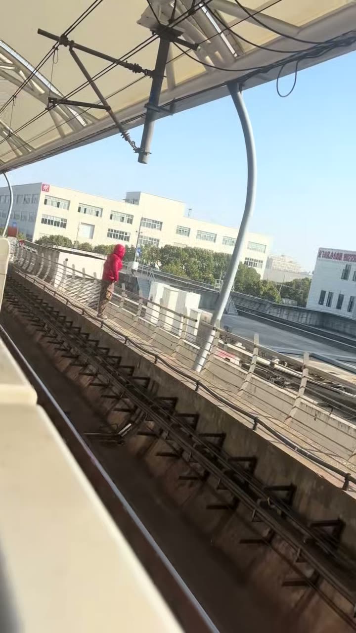 Post Claims Subject Entered Shanghai Metro Line 8 Tracks