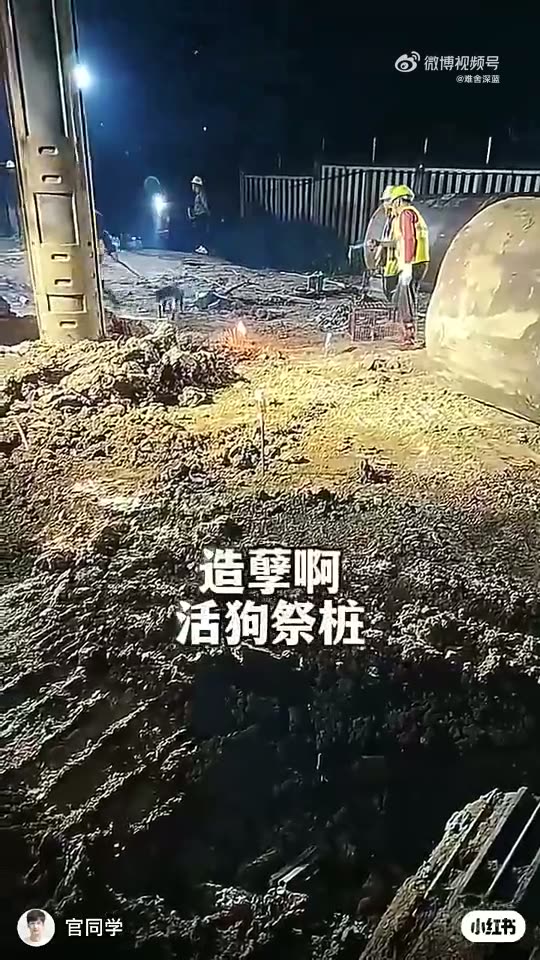 Construction-site ritual accused of using live dog