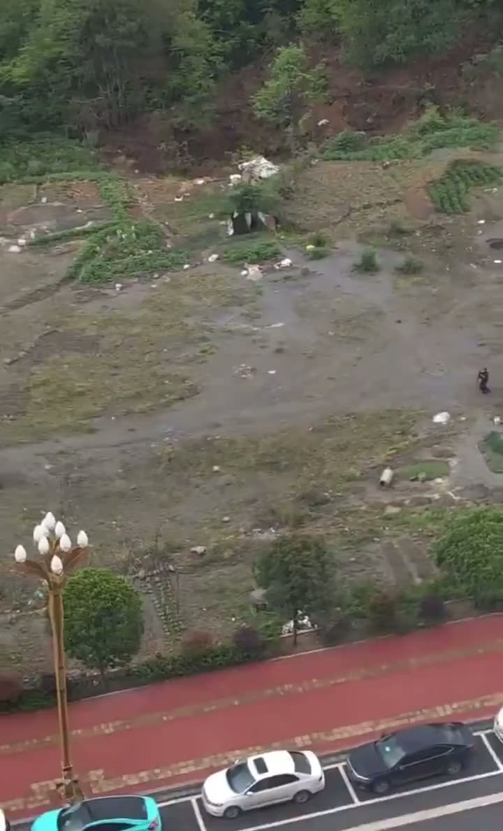 Knife Attack at Zhenxiong Hospital Leaves 23 Dead or Injured