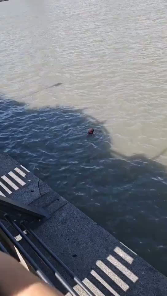 Person Allegedly Jumps into Shanghai River