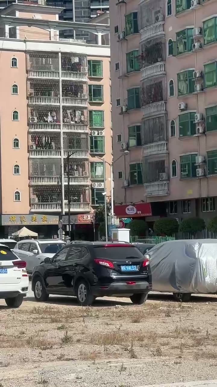 Huizhou-Plated Toyota Damaged by Dog